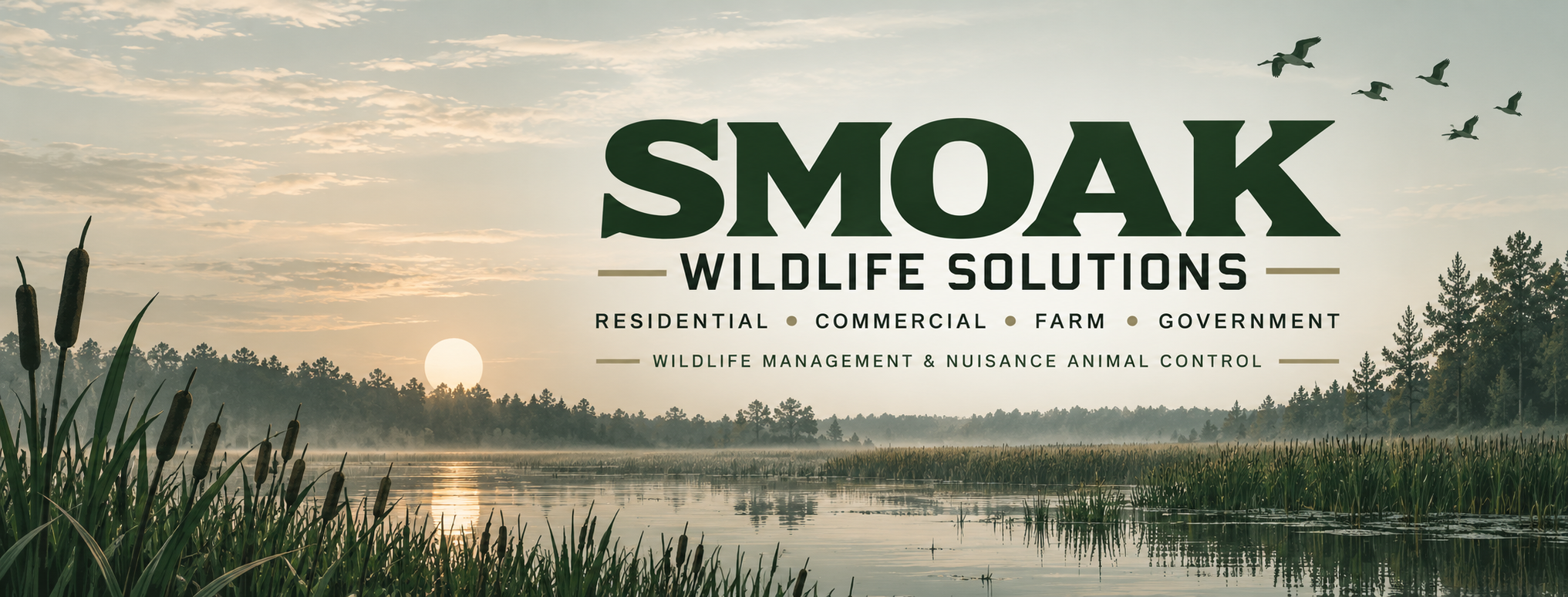 Smoak Wildlife Solutions marshland banner